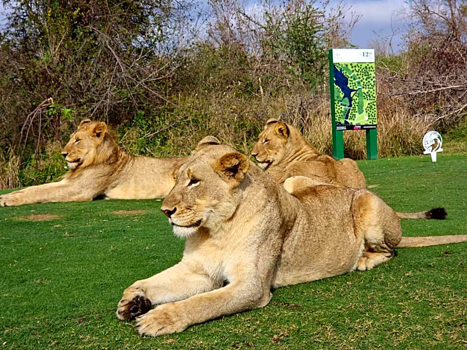 Rhino Post Safari Lodge