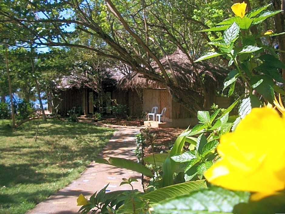 Toris Backpackers Paradise