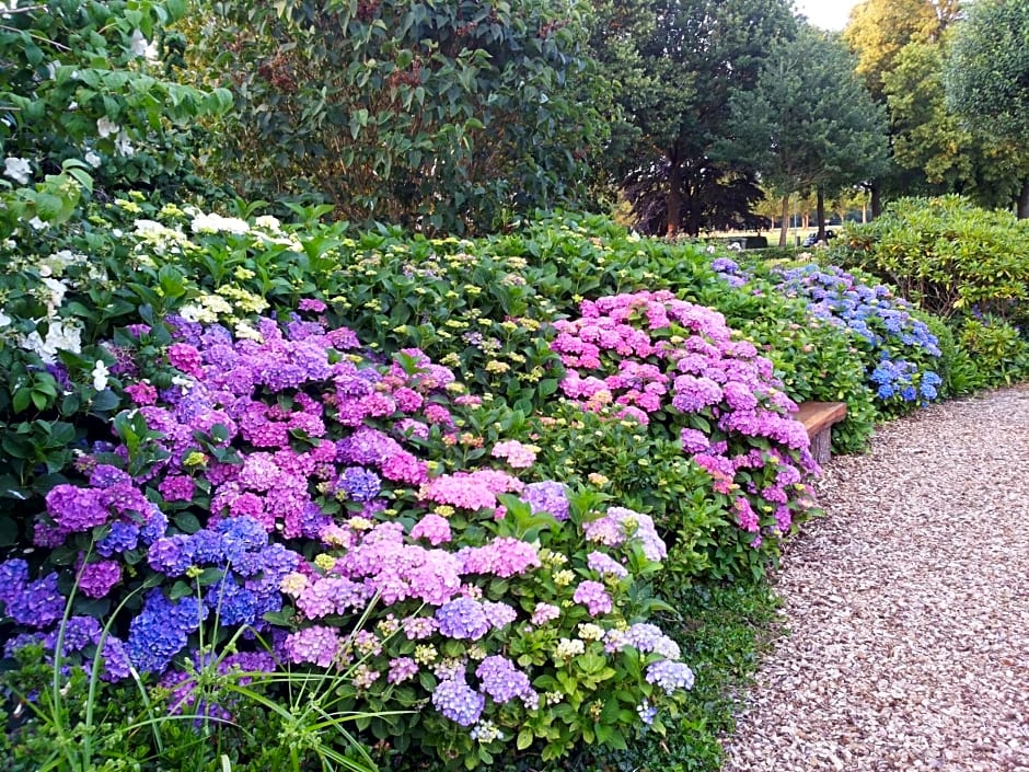 B&B Kleintje Eleveld