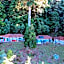 Dantica Cloud Forest Lodge