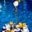 Hotel Terme Park Imperial
