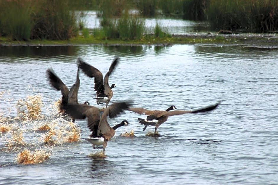 Stichting Veenloopcentrum Weiteveen