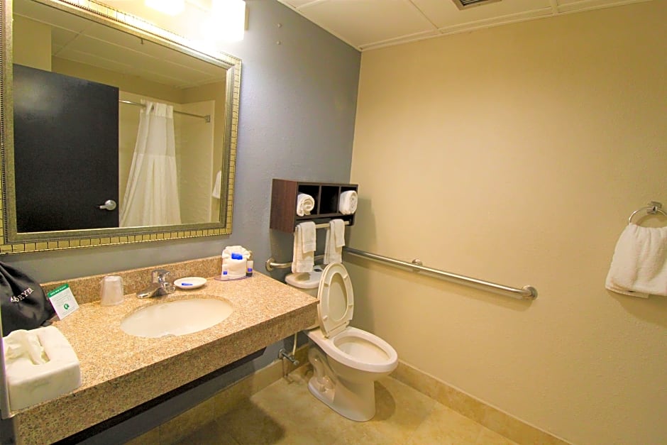 Photo 1 of 8 of 1 King Bed, Mobility Accessible, Bathtub