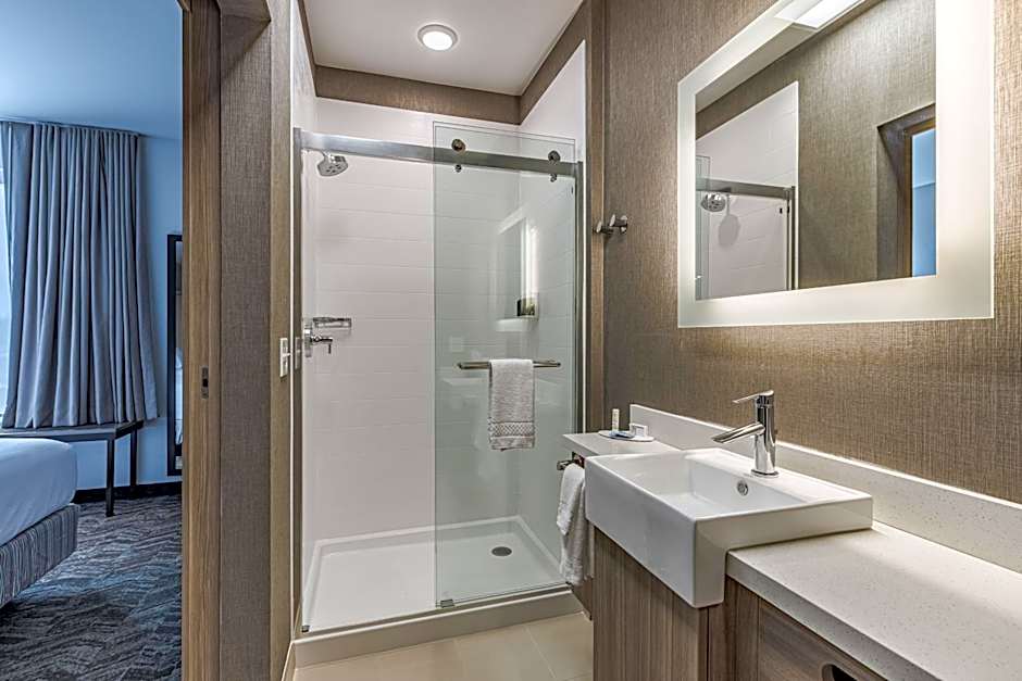 SpringHill Suites by Marriott Detroit Sterling Heights