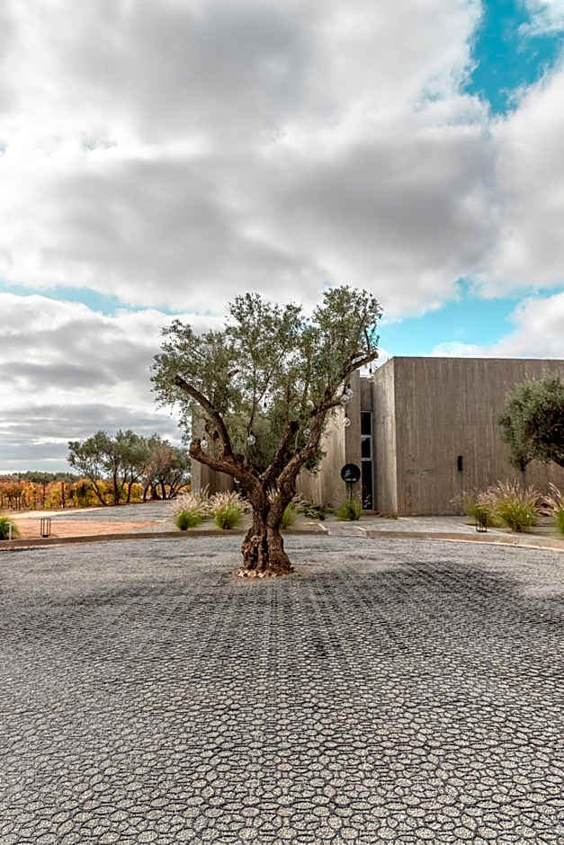 Hotel Andana Winery & Spa