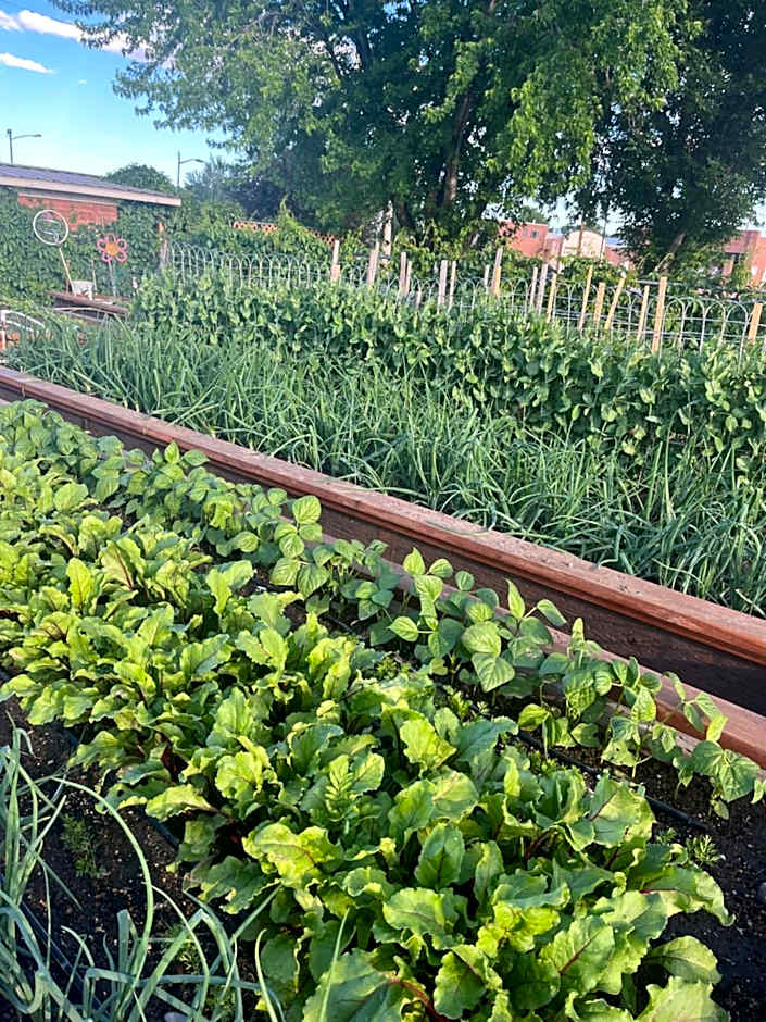 Horseshoe Bend Motel