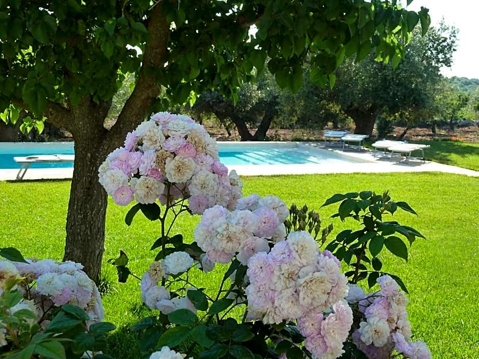 B&B Don Giovanni Monopoli