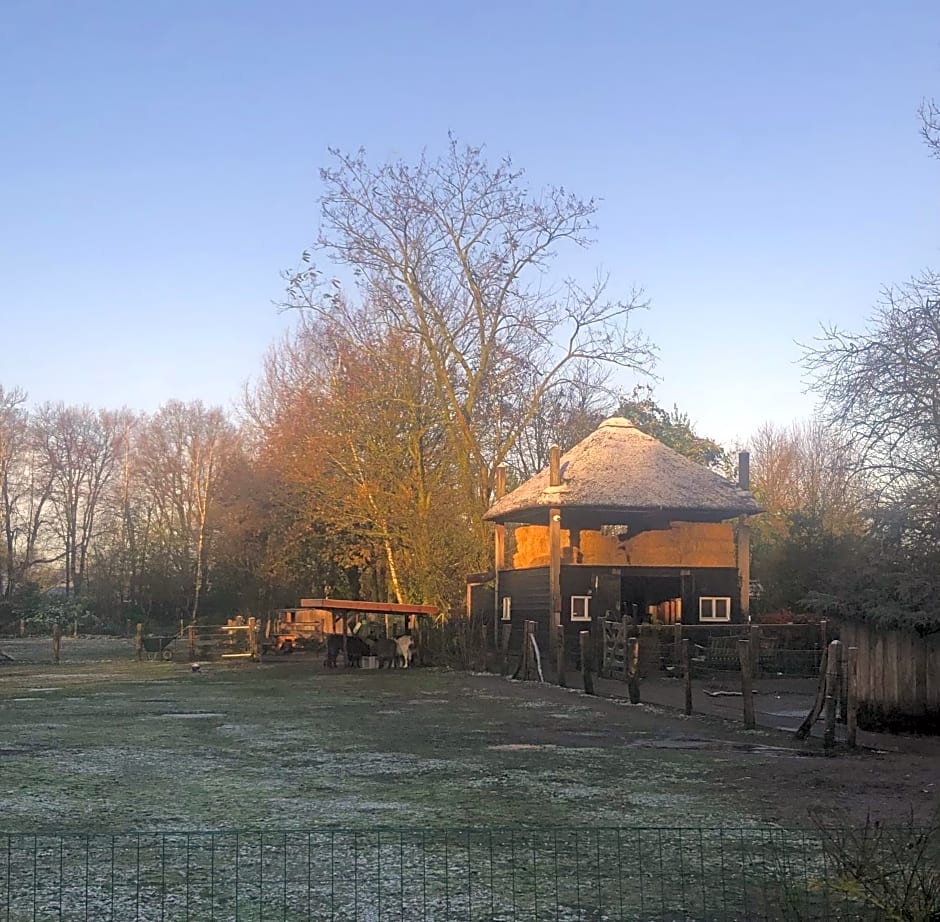 Schaap8 Bed en Breakfast