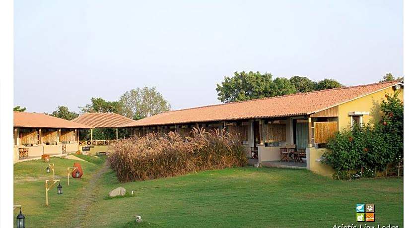 Asiatic Lion Lodge