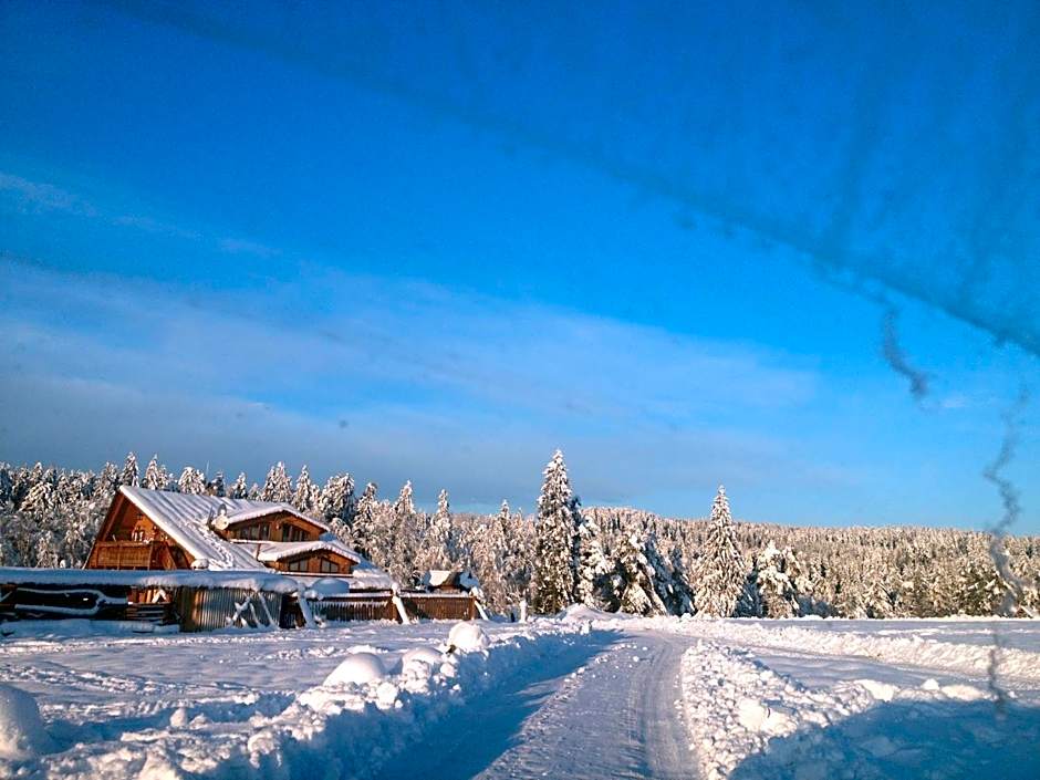 Chata u Gregora v Slovenskom raji