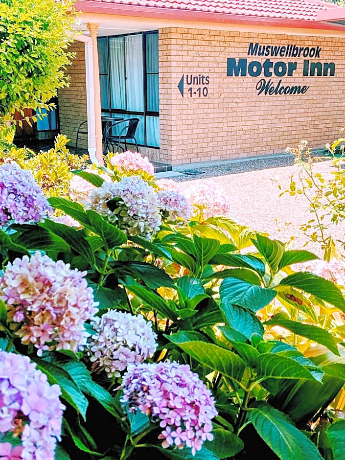 Muswellbrook Motor Inn