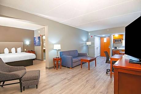 1 King Bed One Bedroom Suite Non-Smoking