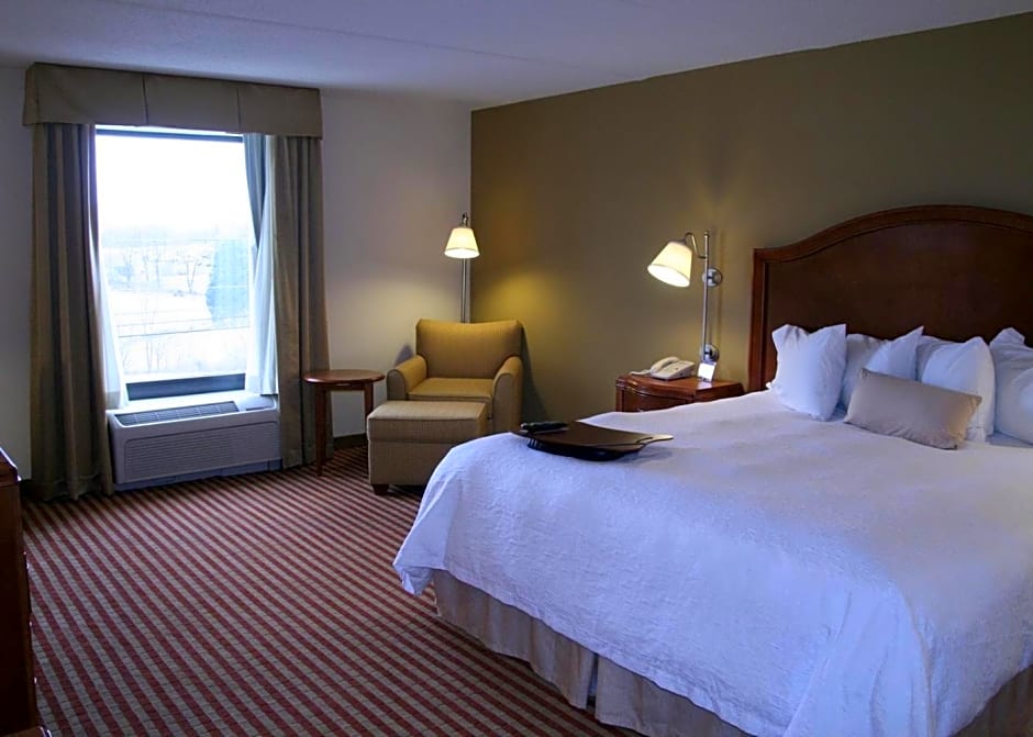 Hampton Inn Roanoke/Hollins - I-81