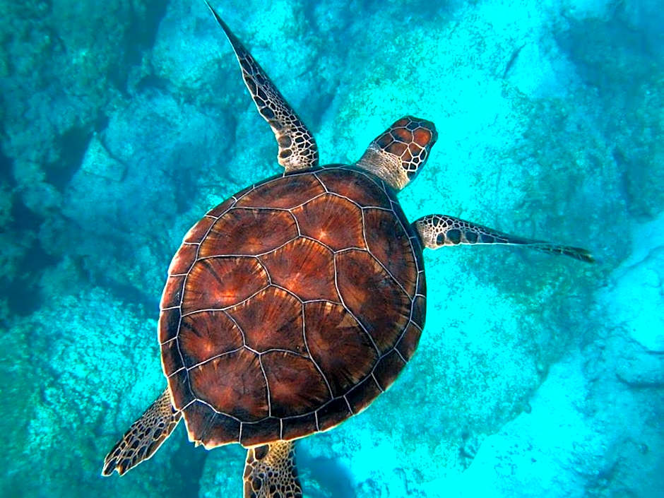 Ningaloo Lodge Exmouth