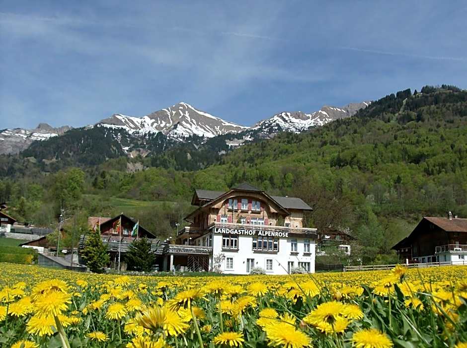 Hotel Alpenrose beim Ballenberg