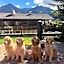 Alpine Touring Hotel-petfriendly