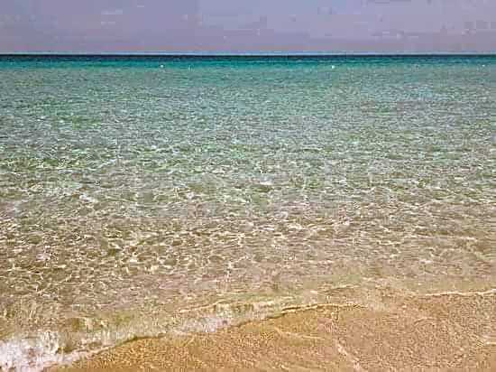 Piccadilly Rooms Restaurant and Beach