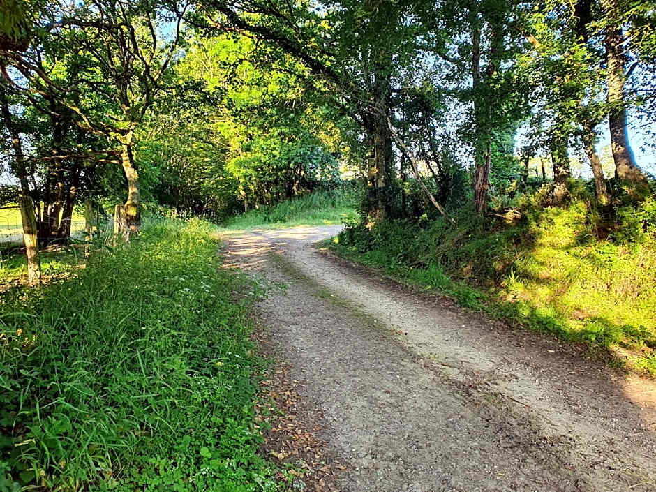 Ferme équestre & Chambres d'hôtes Gateau Stables proche Guédelon