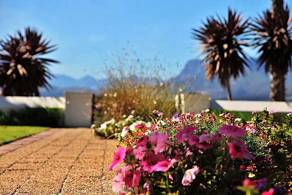 Wild Mushroom Country House