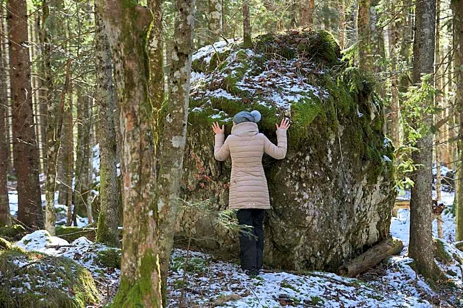 Eko hiša-Eco House Na razpotju