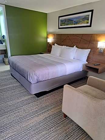 King Room - Non Smoking