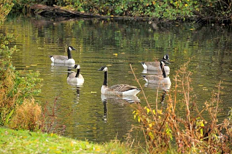 Hôtel L'ile Du Saussay