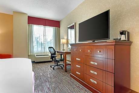 Deluxe King Room - Accessible, Roll-in Shower