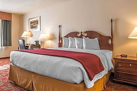 Non Smoking 1 King Bed