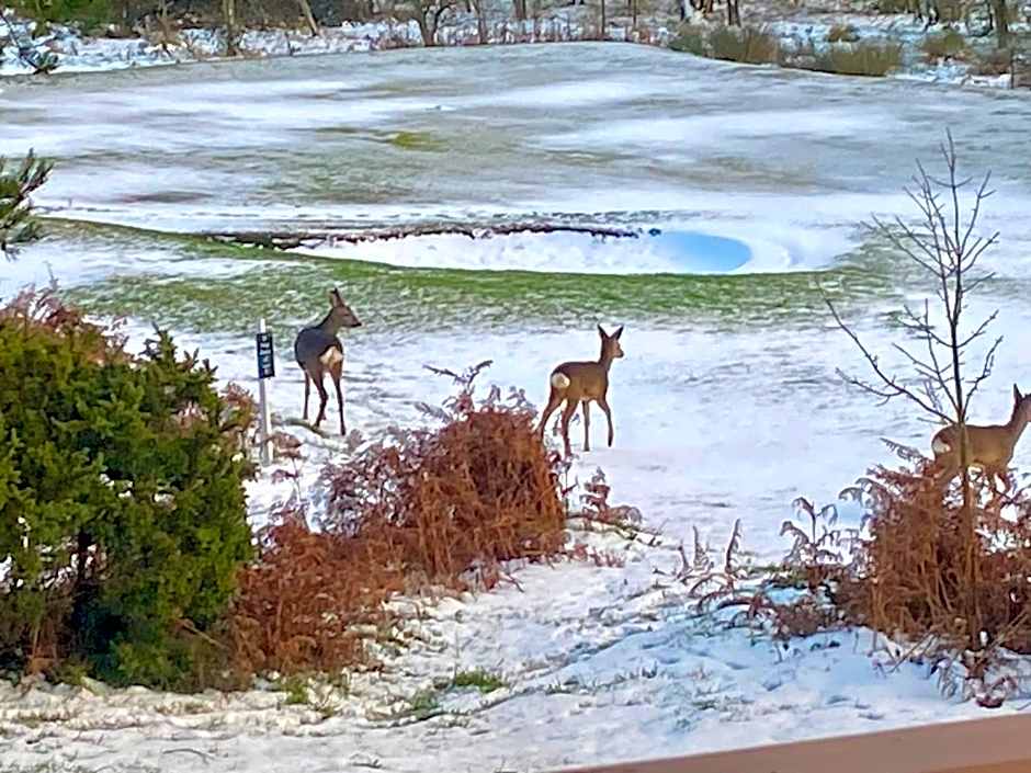 Millie,s View 18 hole free Golf