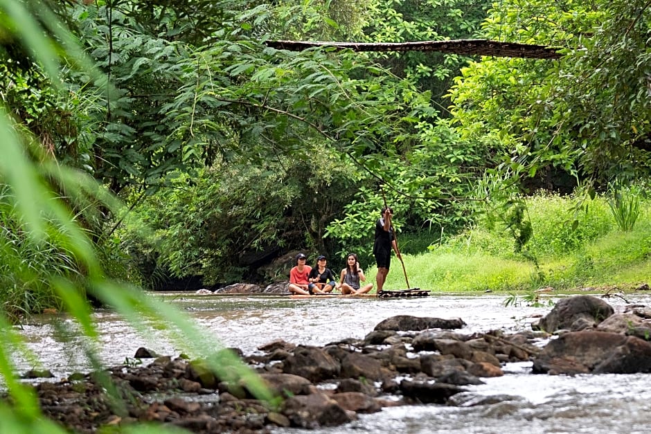 Chiang Mai Elephant Friends
