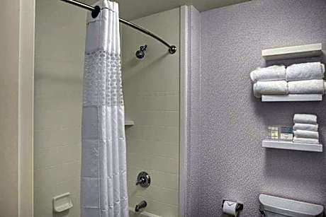 Queen Room with Two Queen Beds (4 Adults)