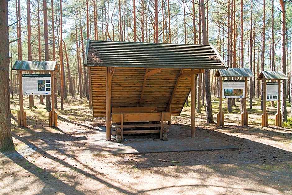 Domki Letniskowe Zygmunt