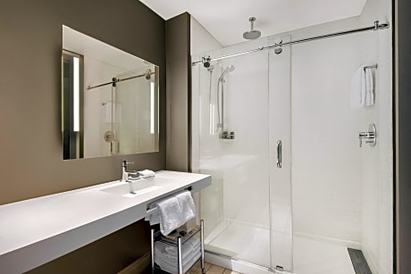 Room 1 King Bed Non Smoking Mountain View