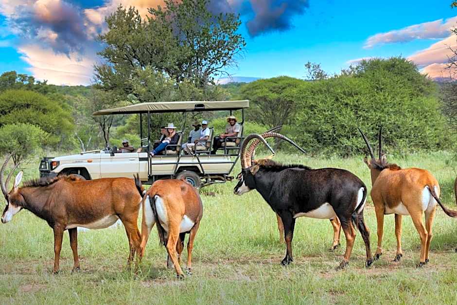 Sable Ranch Bush Lodge