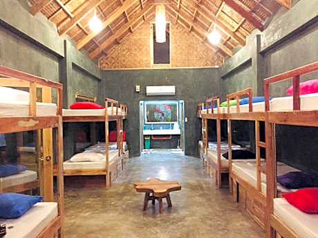 Bunk Bed in Mixed Dormitory Room