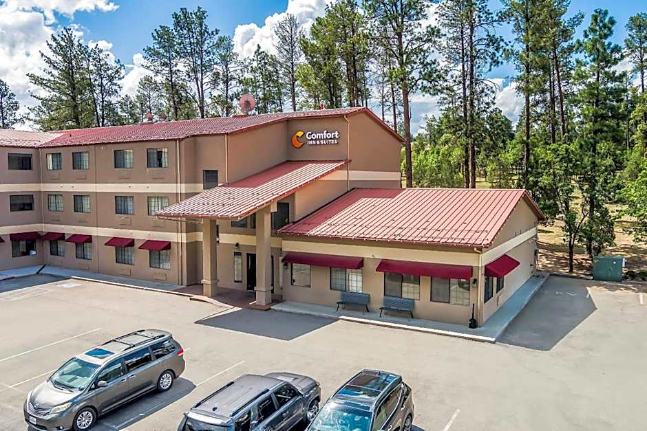 Comfort Inn & Suites Midtown