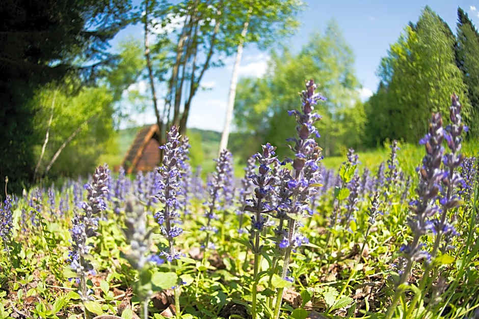 Gościniec Pięciu Stawów