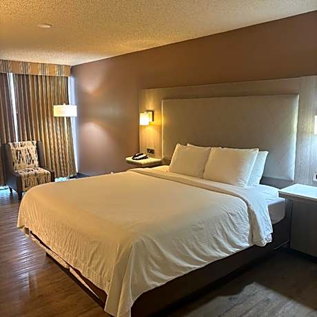 King Room - Non-Smoking