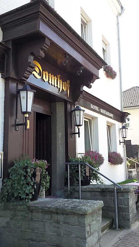 Hotel Domhof