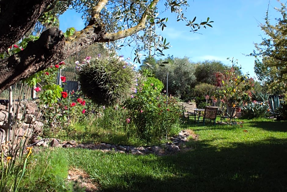 Il Vecchioliveto di Ornella