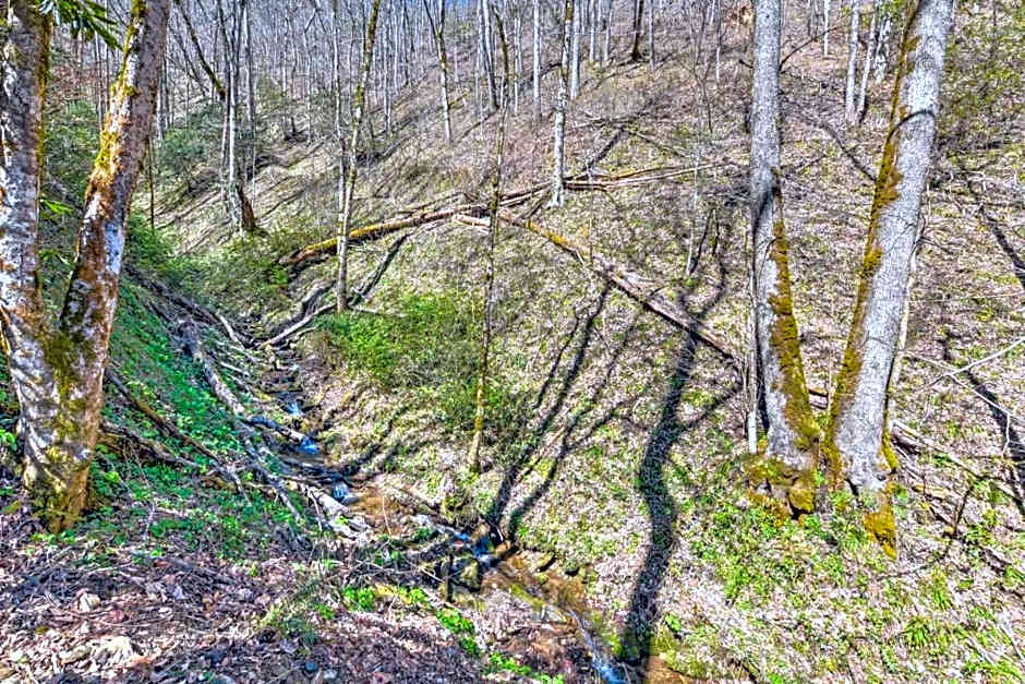 The Lodge Nantahala River
