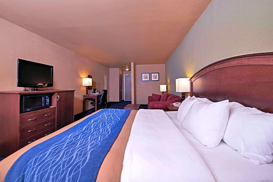 Comfort Inn Albert Lea