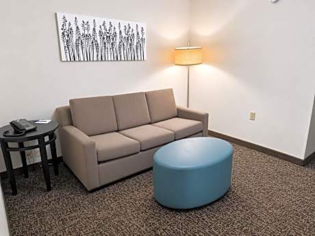 1 King Bed, Suite, Nonsmoking, Accessible
