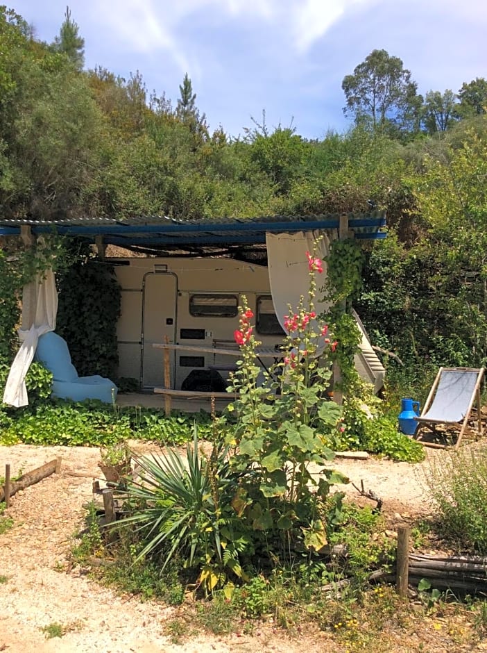 Guest Room B&B Agro-turismo Quinta da Fonte