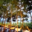 Sun Moon Lake Bamboo Rock Garden