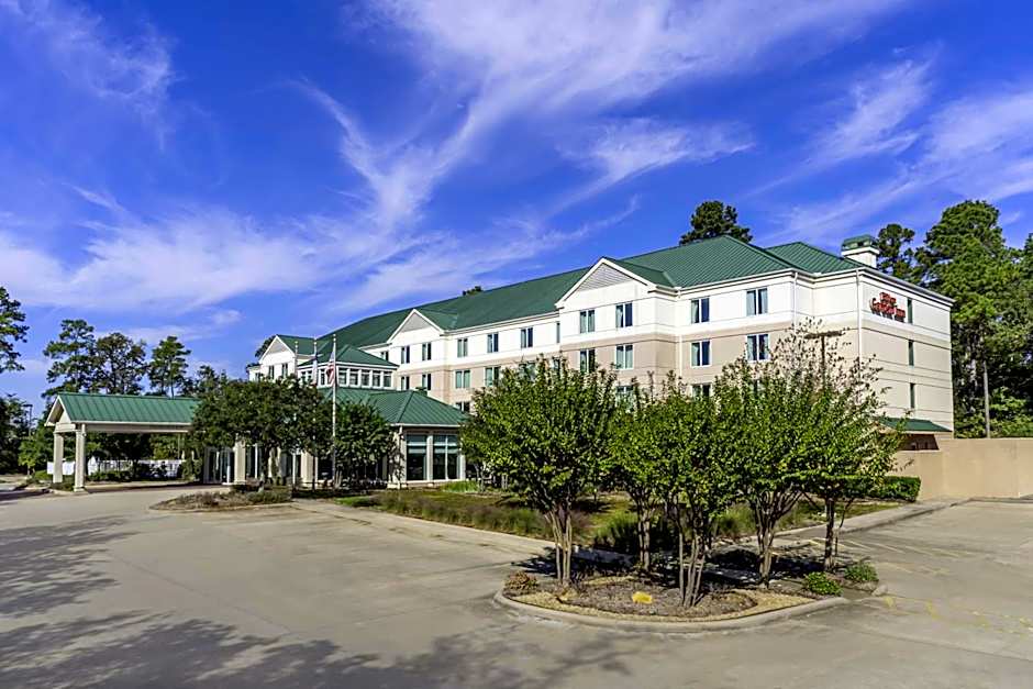 Hilton Garden Inn Houston/The Woodlands