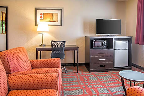 1 King Bed, Suite, Nonsmoking