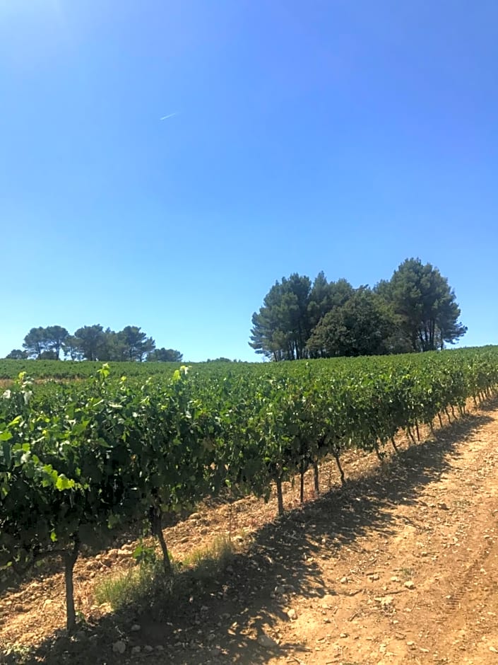 Bastide Bellugue Maison d'hôtes réseau Bienvenue à La Ferme à 3 minutes de Lourmarin