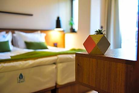 Deluxe Double or Twin Room with Balcony