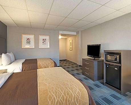 Suite with Two Queen Beds and Sofa Bed